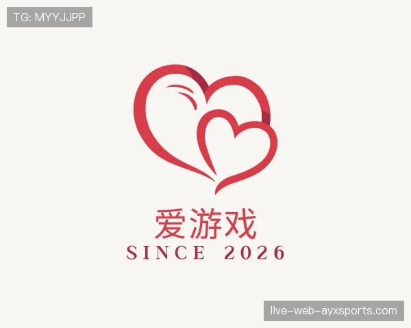 介绍爱游戏世界杯